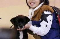 娱乐吃瓜酱岳父,娱乐吃瓜酱岳父的温馨瞬间