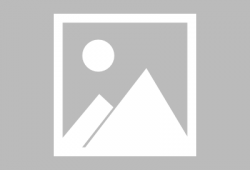 日本漫画老师,日本漫画大师的奇幻旅程