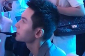 娱乐界最佳吃瓜达人排行榜,揭秘幕后风云，谁才是真正的瓜王？