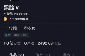 最火的抖音短视频,揭秘热门内容背后的秘密