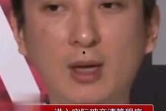 娱乐圈吃瓜熊猫