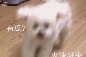 吃瓜娱乐圈懒猫儿,揭秘明星幕后故事